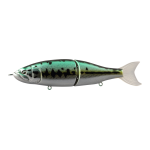 Hard Bodied Lure