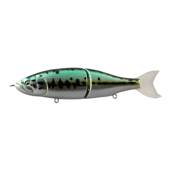 Hard Bodied Lure