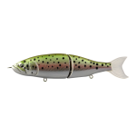 Hard Bodied Lure