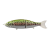 babyface BB180-MSS #21 Rainbow Trout