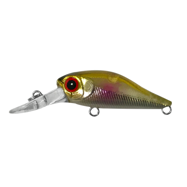Lure