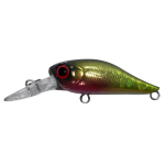 Lure