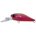 Lure