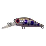 Lure