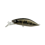 Lure