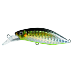 Lure