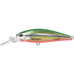 Lure