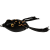 Lure SureCatch Tiny Froggy FTF 48mm 7g F37